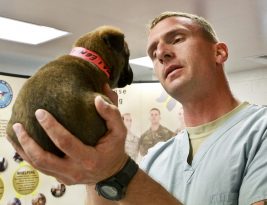 Something about your pet’s health.